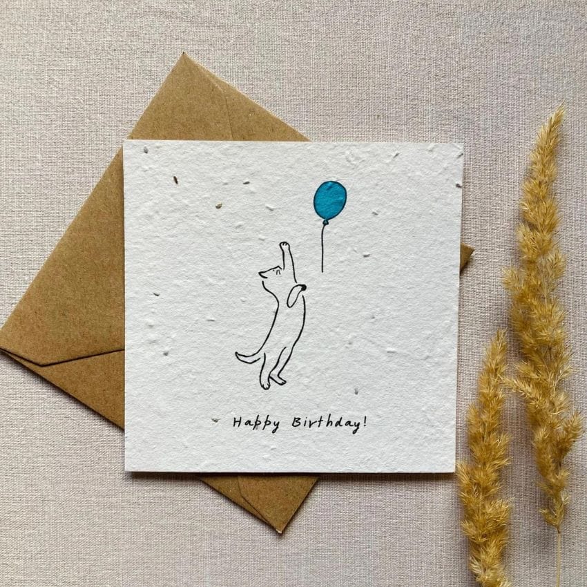 Einpflanzbare Geburtstagskarte Katze